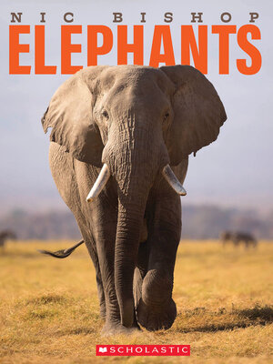 cover image of Nic Bishop Elephants